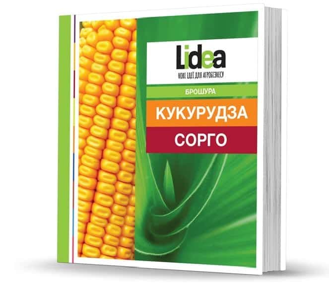Нова брошура гібридів кукурудзи та сорго